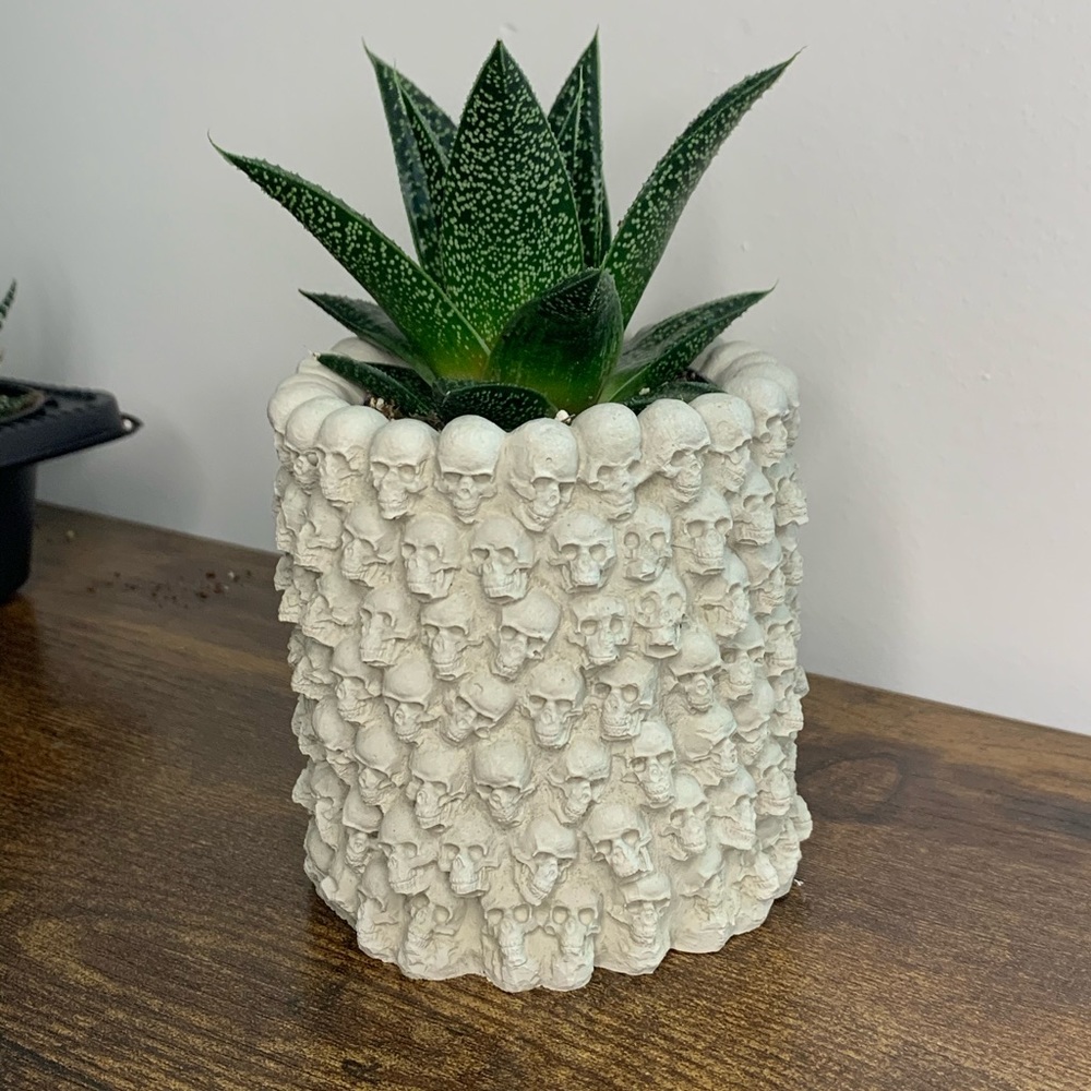 handmade SKULL Planter Cement Makeup Brush Holder